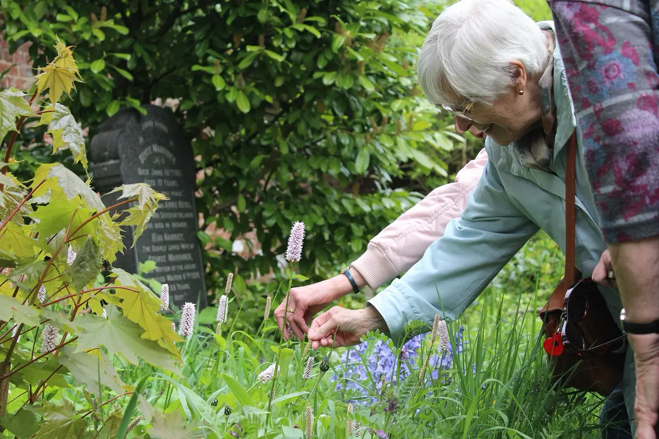 A woman with white hair smiles as she leans forward to touch wildflowers in a churchyard garden, with a second person reaching in beside her.
