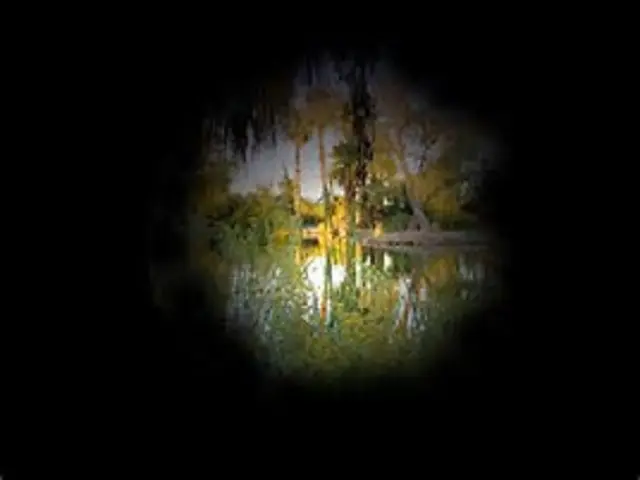 A pond with trees and reflections visible only through a small circle in the centre of the image, with everything around it black — simulating tunnel vision, where peripheral sight is lost.