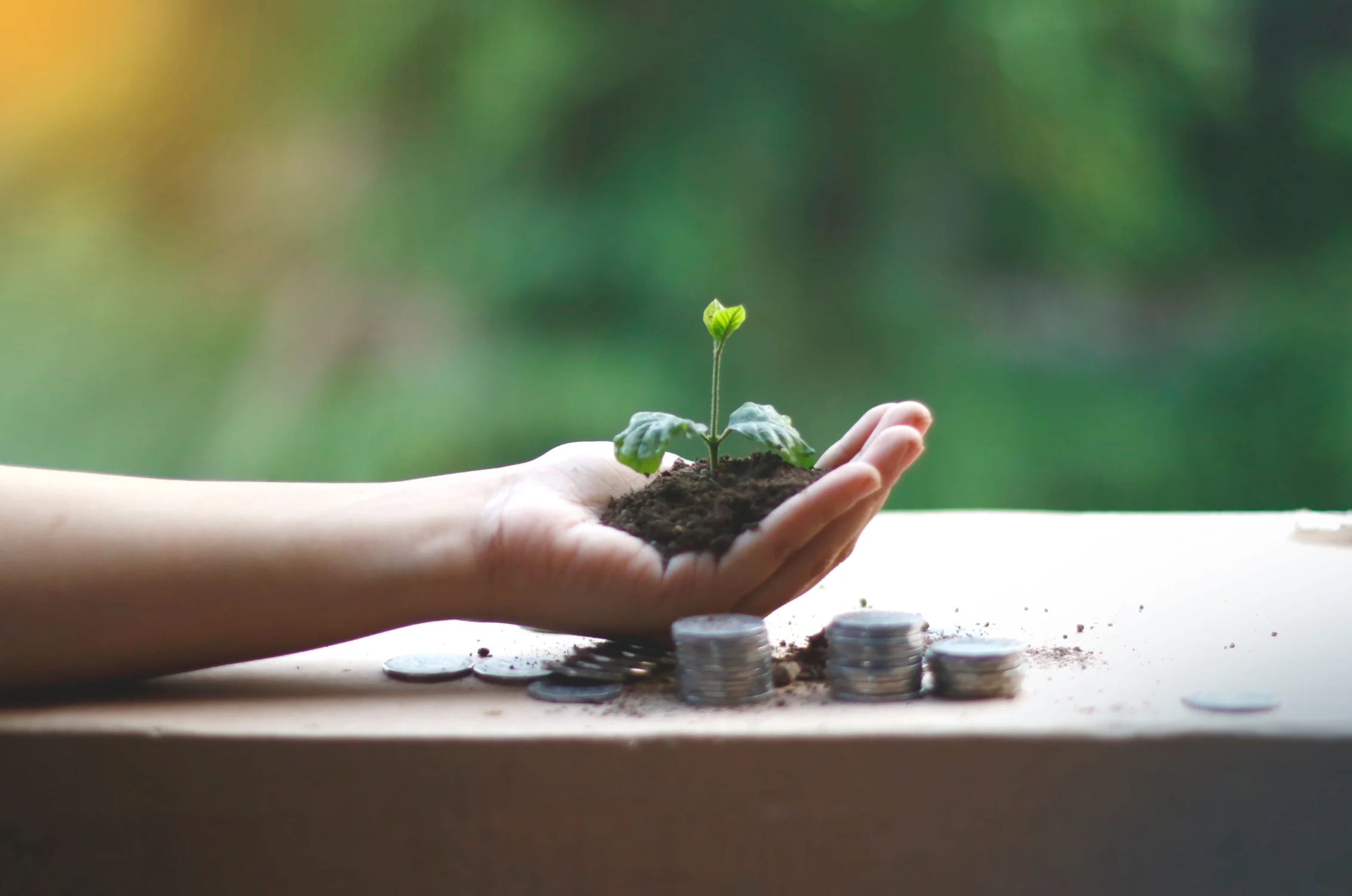 An outstretched hand holds a small seedling growing from a handful of soil, with stacks of coins on the table beside it and greenery blurred in the background.